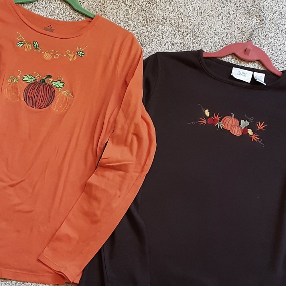 2 Fall Pumpkin Long Sleeve Jersey Knit Tees Women's Sz S Brown Orange